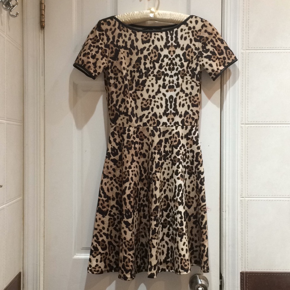 Dorothy Perkins Leopard Print Dress
